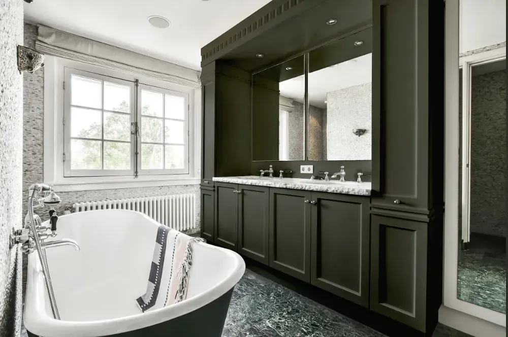 NCS S 7005-G50Y victorian bathroom paint