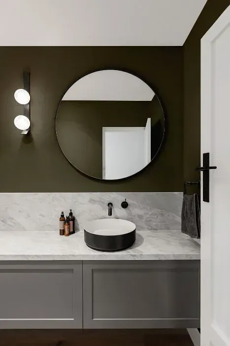 NCS S 7005-G80Y minimalist bathroom