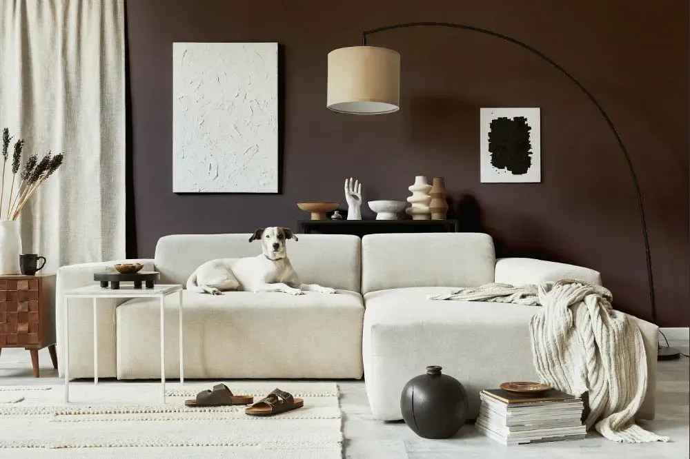 NCS S 7005-R cozy living room
