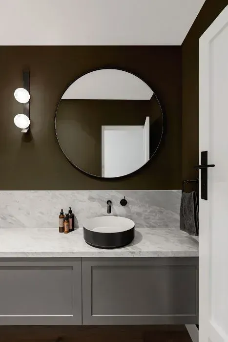 NCS S 7005-Y minimalist bathroom