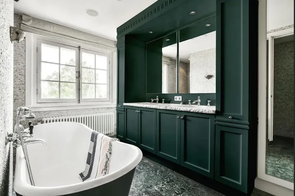 NCS S 7010-B50G victorian bathroom paint