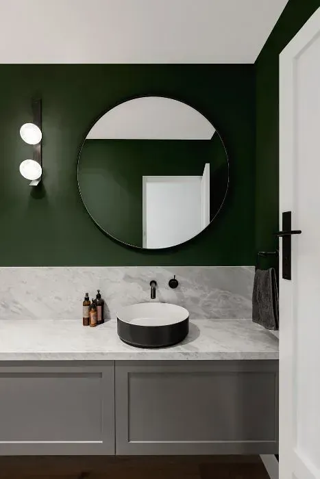 NCS S 7010-G10Y minimalist bathroom