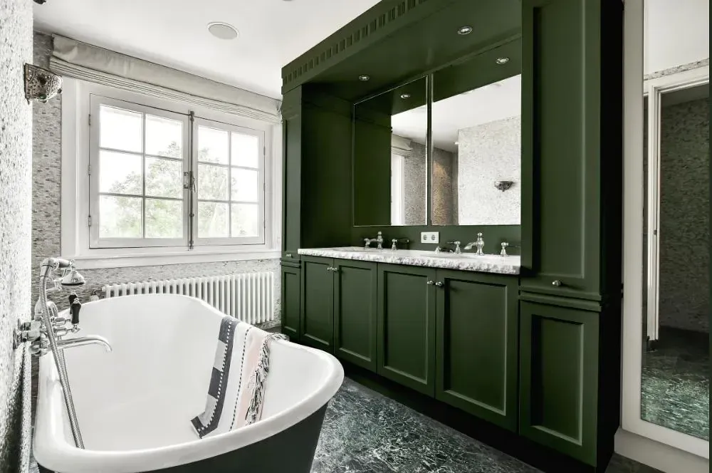 NCS S 7010-G30Y victorian bathroom paint