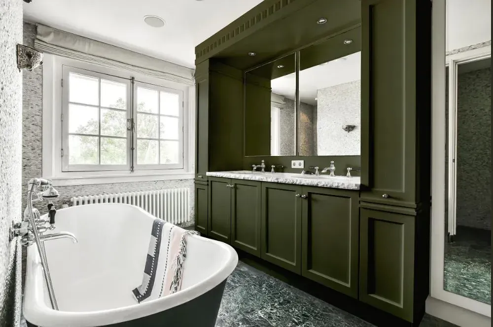 NCS S 7010-G50Y victorian bathroom paint