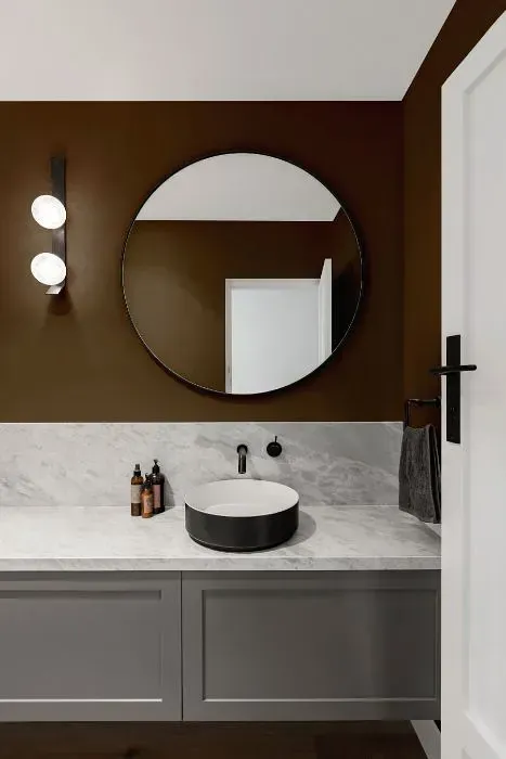 NCS S 7010-Y10R minimalist bathroom