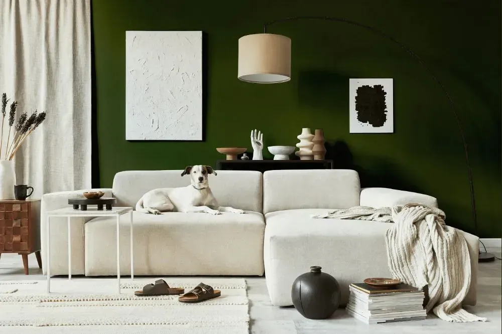 NCS S 7020-G50Y cozy living room