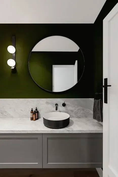 NCS S 7020-G50Y minimalist bathroom