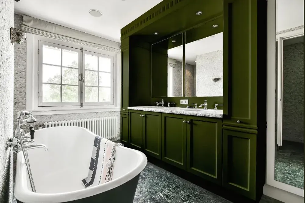 NCS S 7020-G50Y victorian bathroom paint