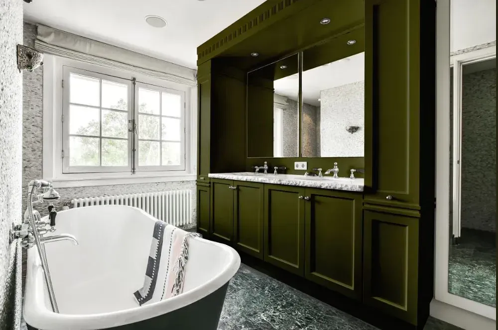 NCS S 7020-G70Y victorian bathroom paint