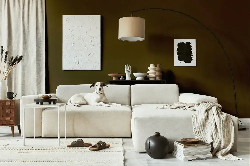 NCS S 7020-G90Y cozy living room