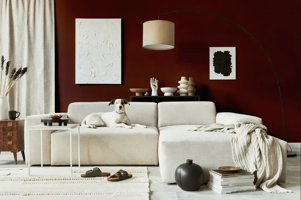 NCS S 7020-Y80R cozy living room