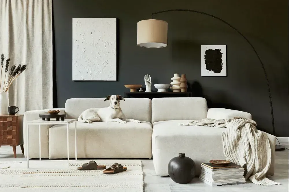NCS S 7500-N cozy living room