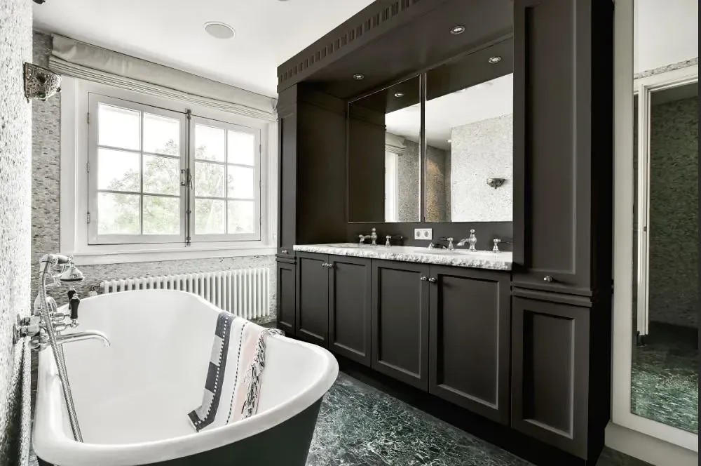 NCS S 7500-N victorian bathroom paint