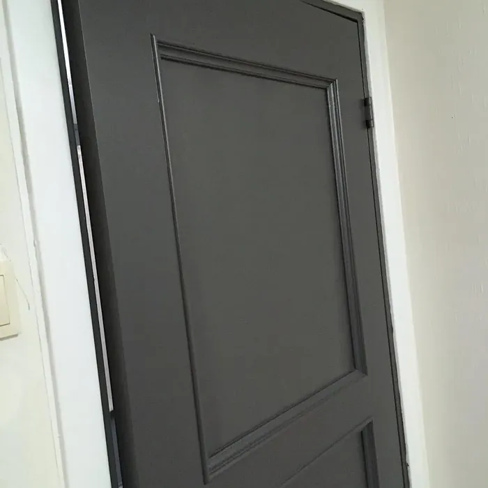 NCS S 7500-N door color