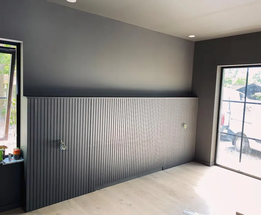 NCS S 7500-N accent wall 