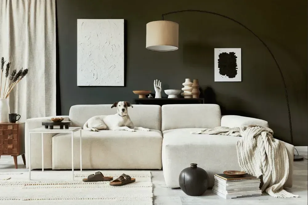 NCS S 7502-Y cozy living room