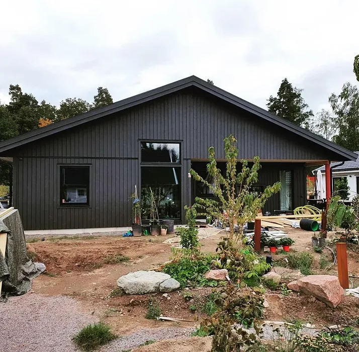 NCS S 8000-N exterior color