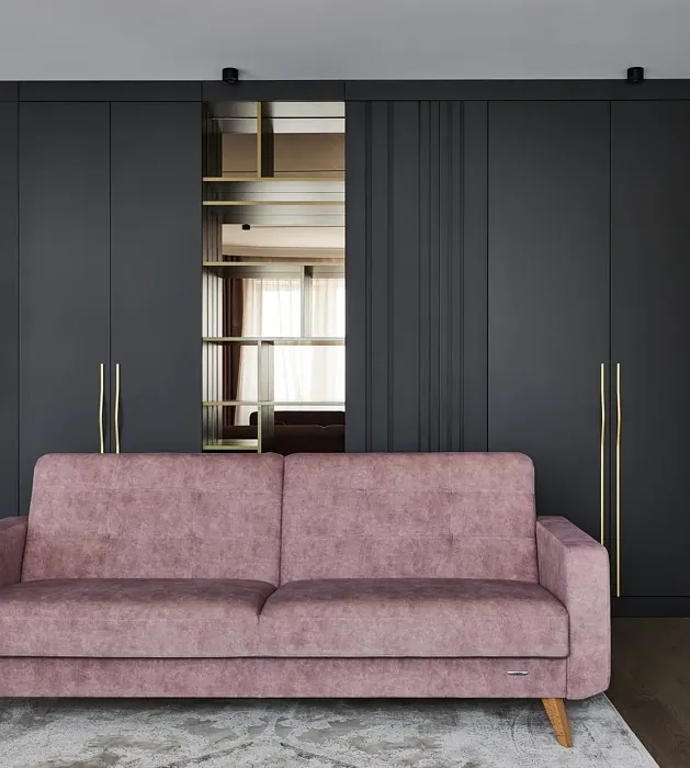 NCS S 8000-N painted cabinets color