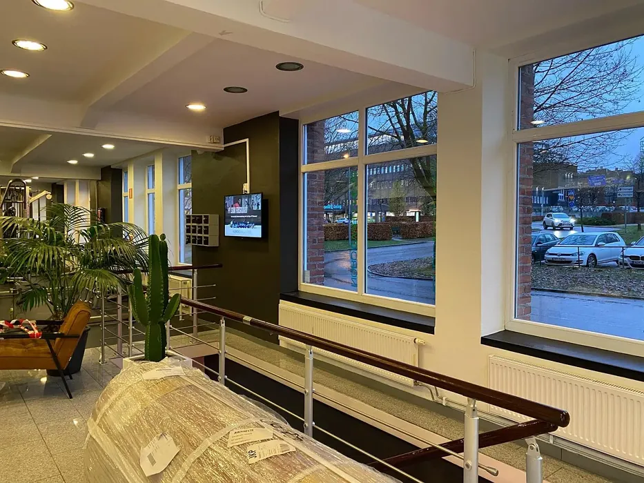 NCS S 8000-N accent wall 