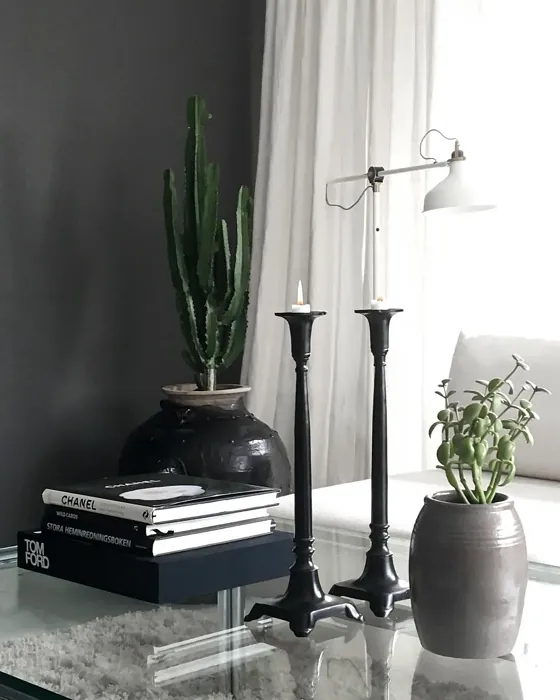 NCS S 8000-N wall paint 