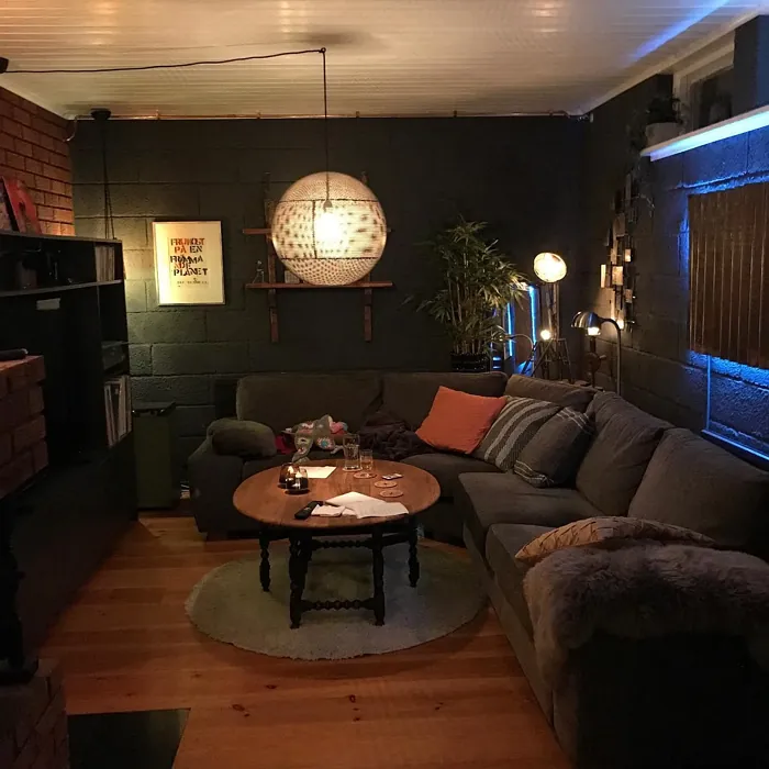 S 8000-N living room interior