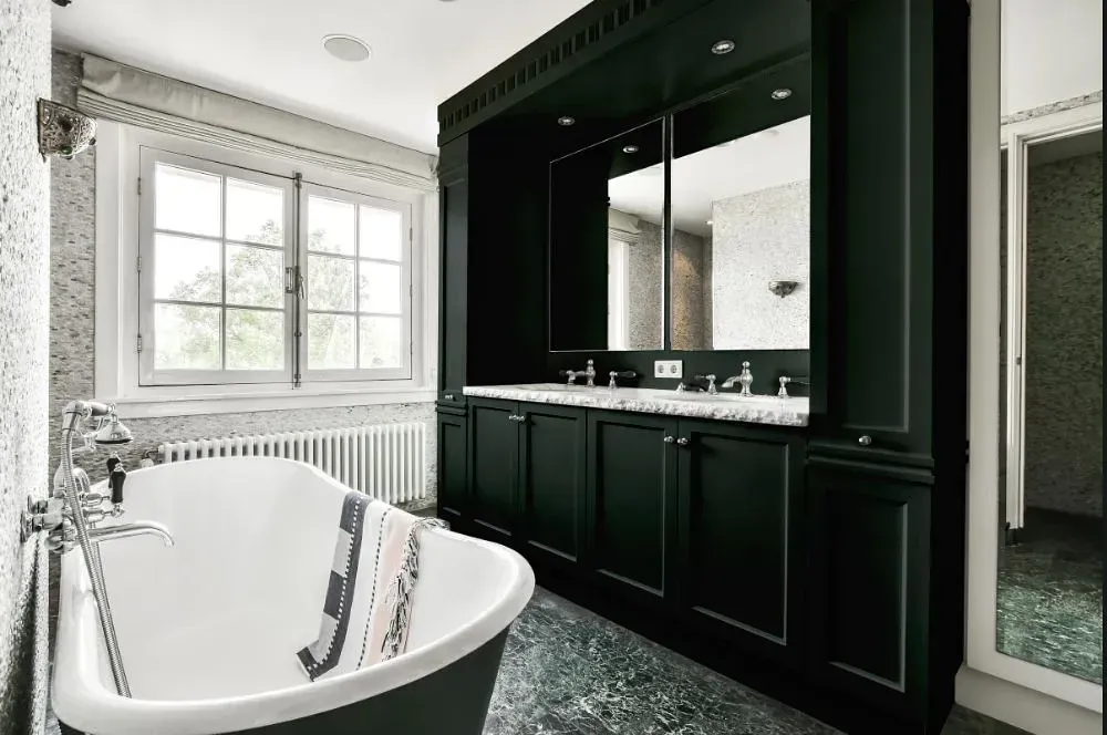 NCS S 8005-B80G victorian bathroom paint