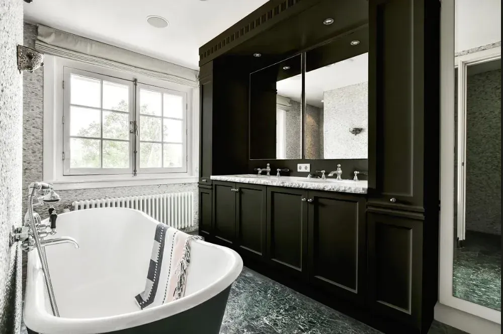 NCS S 8005-G50Y victorian bathroom paint