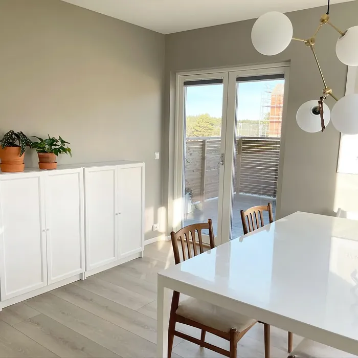 Jotun Sable Stone dining room paint review