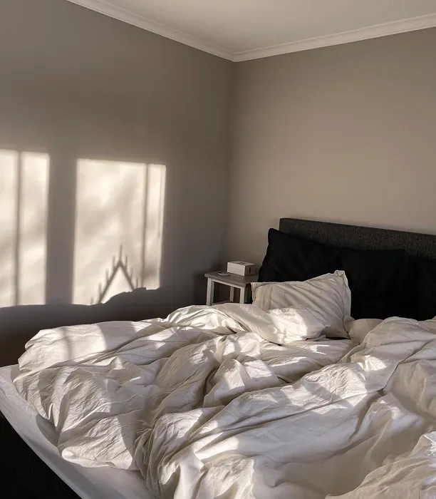 Jotun Sable Stone bedroom review