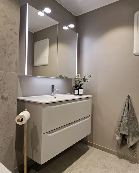 Jotun Sable Stone bathroom color review