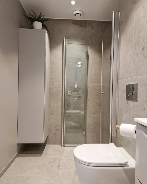 Sable Stone bathroom paint