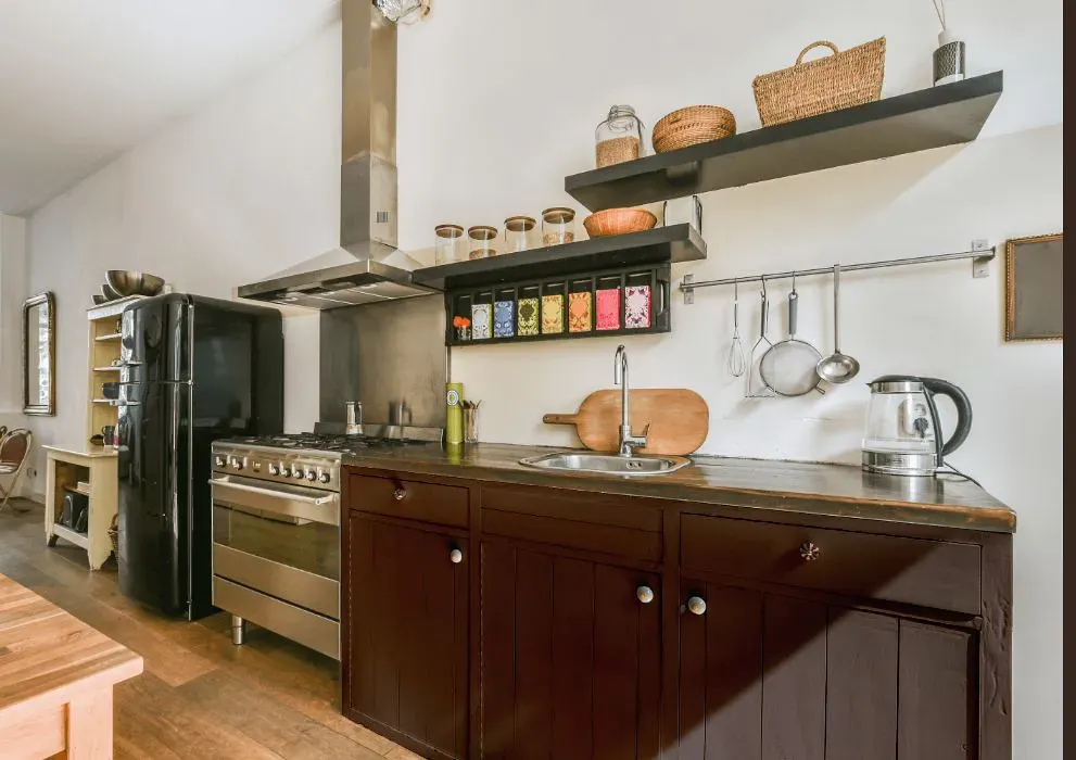 Sherwin Williams Sable kitchen cabinets