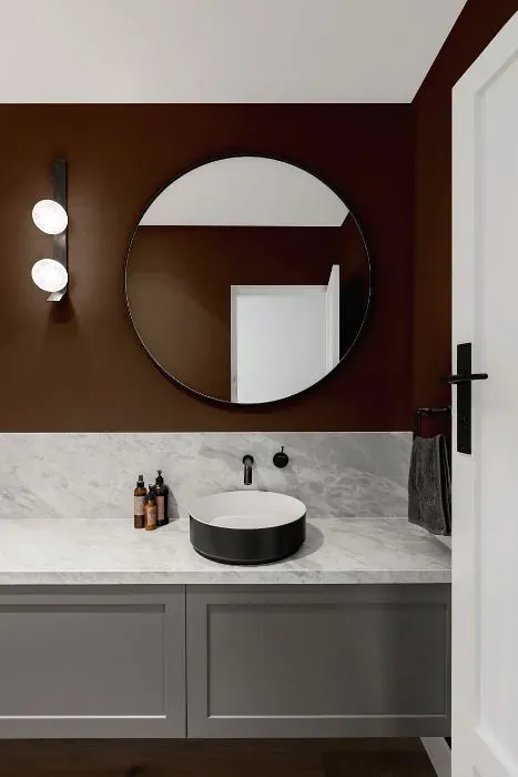 Sherwin Williams Sable minimalist bathroom