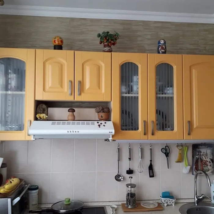 Saffron yellow RAL 1017 kitchen cabinets