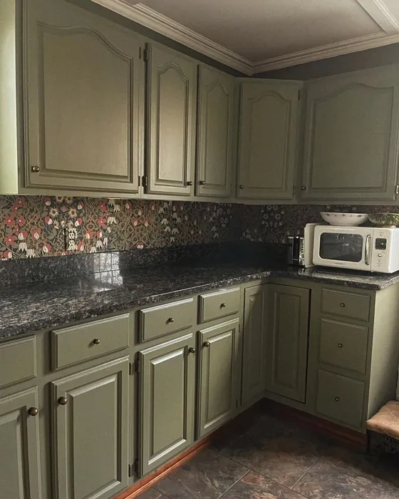 Sage Green Light Kitchen Cabinets