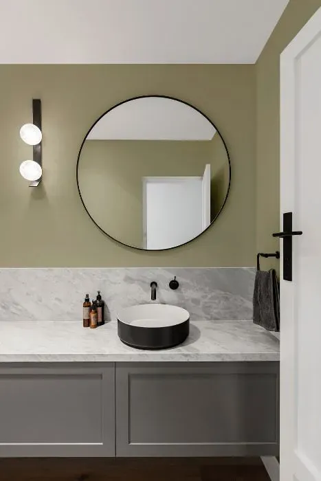 Sherwin Williams Sage minimalist bathroom
