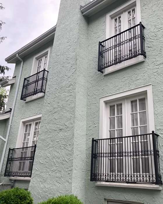 Sherwin Williams Sage house exterior color