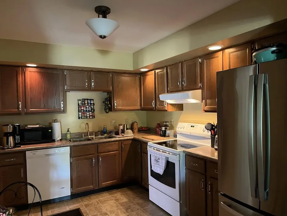 Sherwin Williams Sage kitchen color