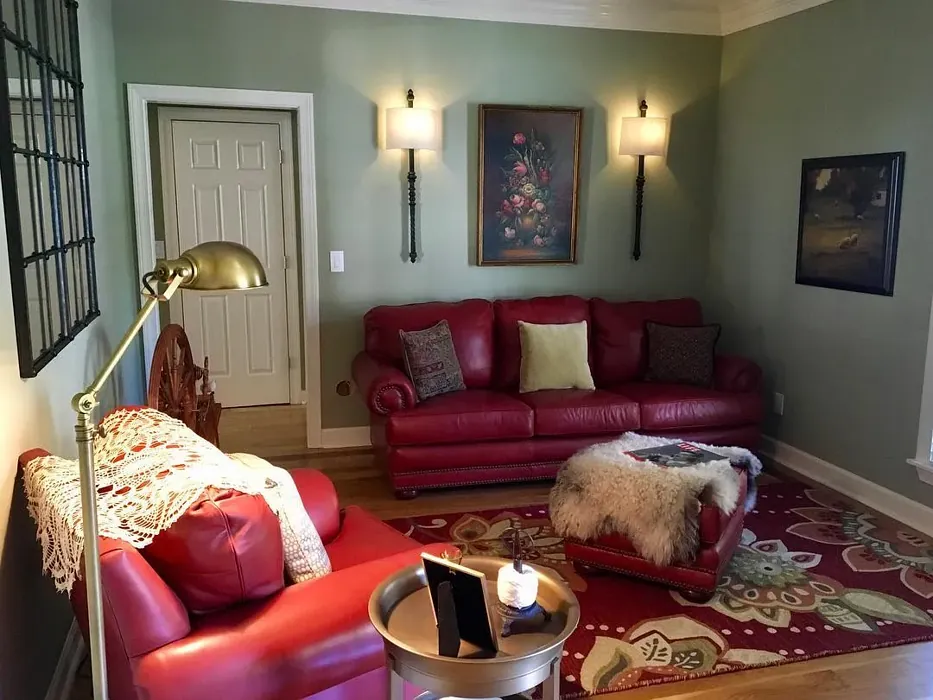 Sherwin Williams Sage living room interior