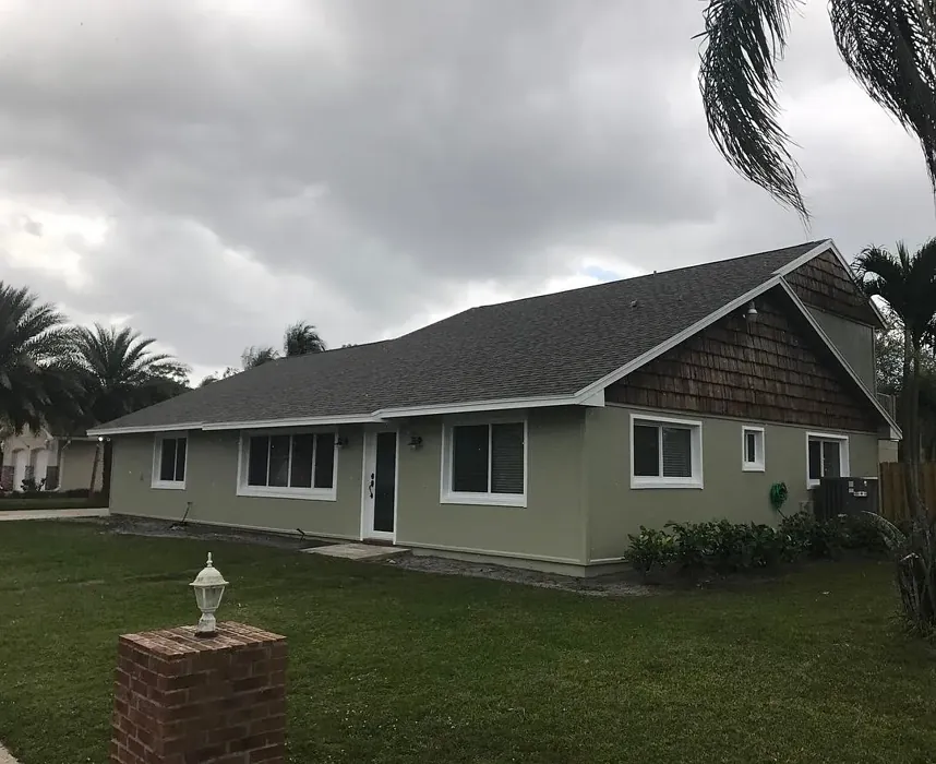 Sherwin Williams Sage exterior paint