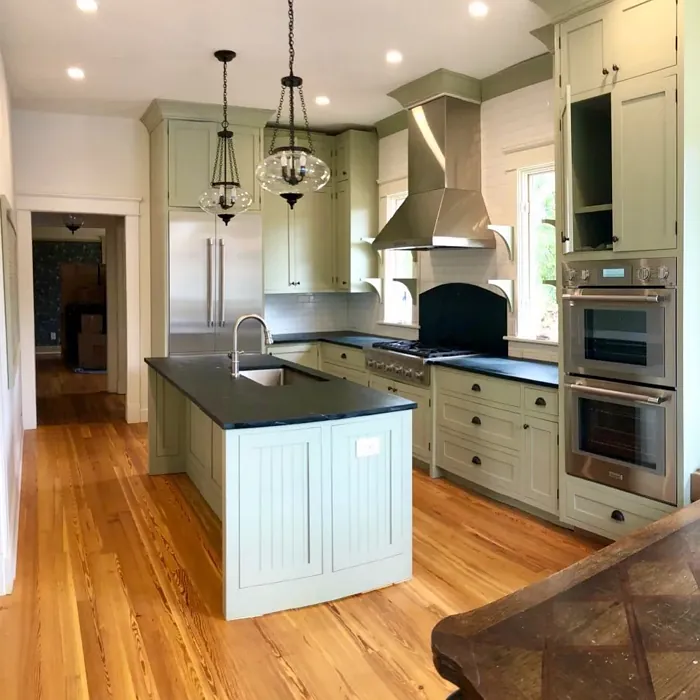 Sherwin Williams Sage kitchen cabinets color