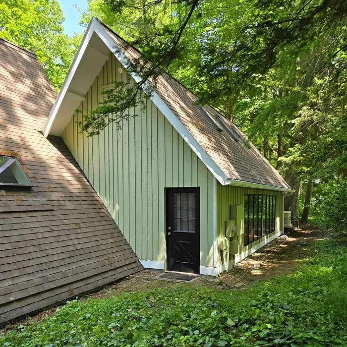 SW Sage house exterior color review