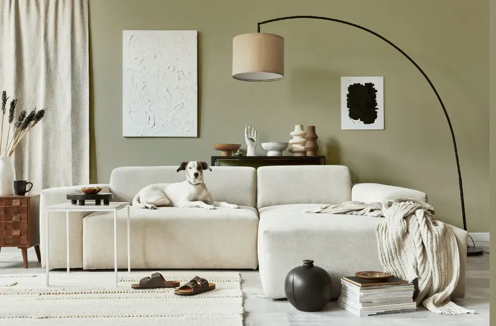 Sherwin Williams Sage cozy living room