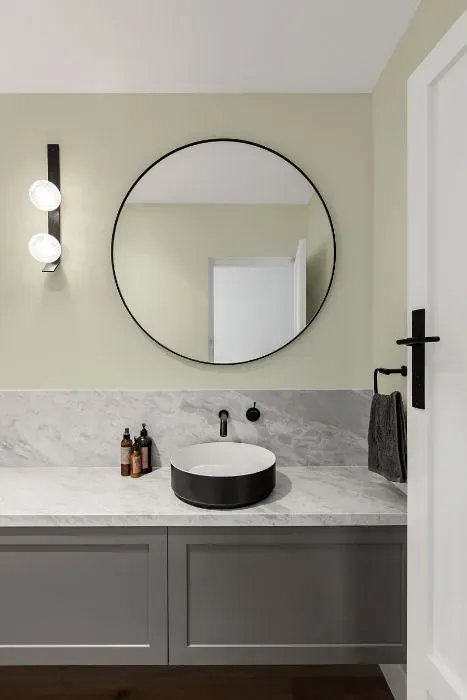 Sherwin Williams Sagey minimalist bathroom
