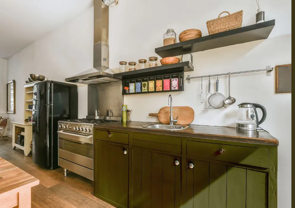Sherwin Williams Saguaro kitchen cabinets