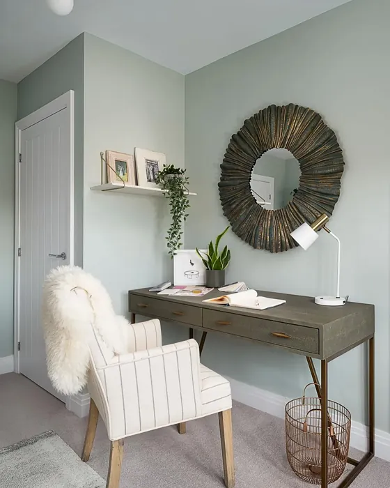 Little Greene Salix living room paint review