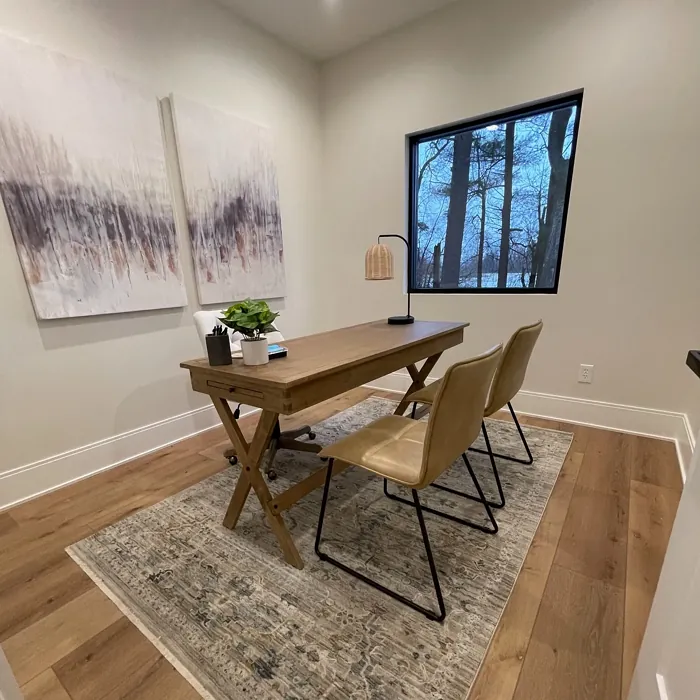 Sherwin Williams Sanctuary dark wall paint 