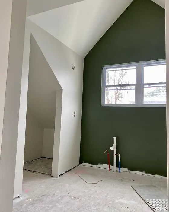 Sherwin Williams Sanctuary wall paint 