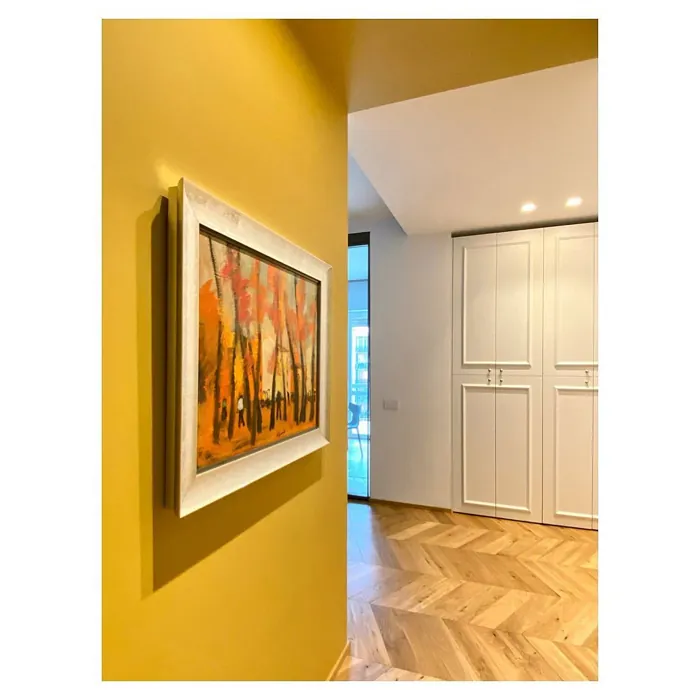 RAL Classic  Sand yellow RAL 1002 accent wall