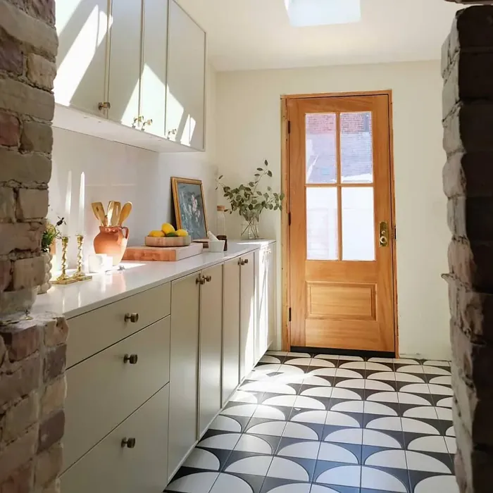 Sherwin Williams Sandbar kitchen cabinets 